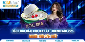Cách Bắt Cầu Xóc Đĩa Tỷ Lệ Chính Xác 99% Người Mới Cần Biết
