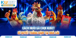 Cách Nuôi Gà Chọi - Bí Quyết Thắng Đậm Tại Nhà Cái KUBET
