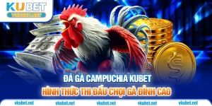 Đá Gà Campuchia - Hình Thức Thi Đấu Chọi Gà Đỉnh Cao Tại KUBET