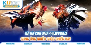 Đá Gà Cựa Dao Philippines – Cung Ứng Nhiều Cuộc Chiến Hay