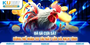 Đá Gà Cựa Sắt - Bùng Nổ Màn So Tài Nảy Lửa Và Kịch Tính