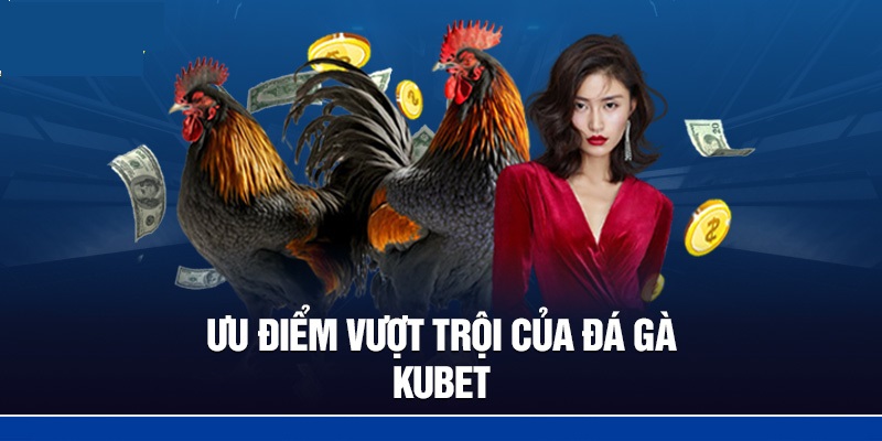 Tổng hợp các ưu điểm vượt trội mà sảnh đá gà tại kubet mang lại