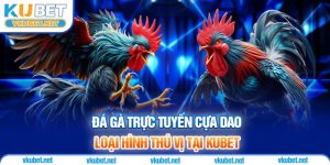 Đá Gà Trực Tuyến Cựa Dao - Loại Hình Thú Vị Tại Kubet