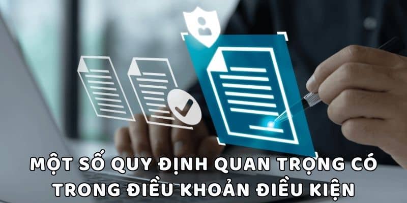Một số quy định quan trọng có trong điều khoản và điều kiện tại Kubet