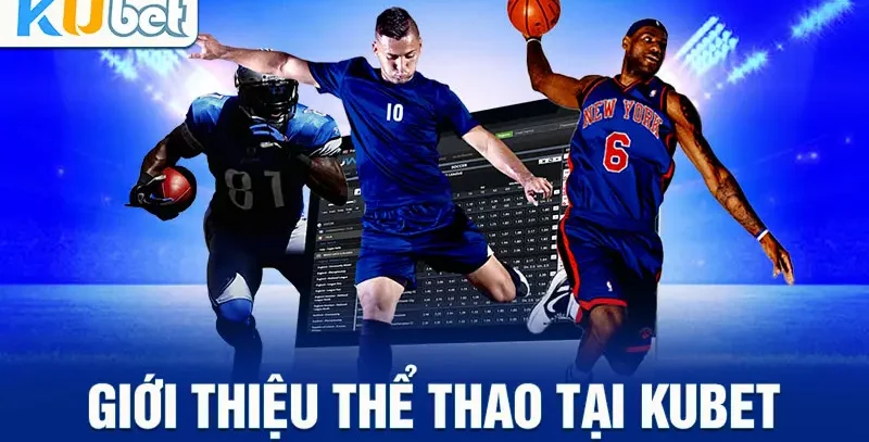 Giới thiệu tổng quan về sảnh cá cược thể thao Kubet