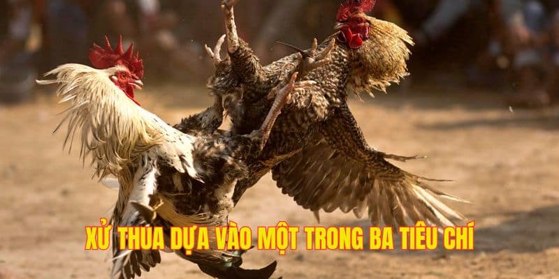 Tuân thủ tiêu chí xử thắng thua để đảm bảo tính nhất quán