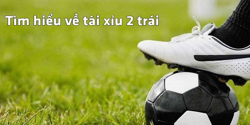 Luật cá độ kèo tài xỉu 2 trái chi tiết nhất dành cho newbie