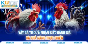 Vảy Gà Tứ Quý: Nhận Biết, Đánh Giá Và Khả Năng Thực Chiến