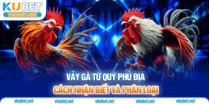 Vảy Gà Tứ Quý Phủ Địa - Cách Nhận Biết Và Phân Loại