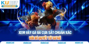 Xem Vảy Gà Đá Cựa Sắt Chuẩn Xác Với Bí Quyết Từ Sư Kê