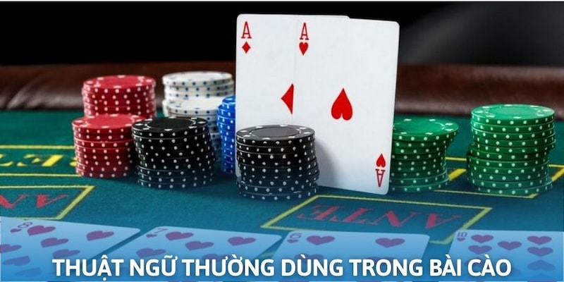 Một vài từ ngữ chuyên dùng trong bộ môn bài cào