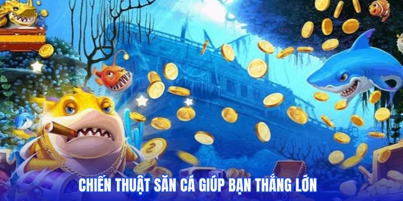 Bật mí chiến thuật săn cá giúp bạn thành công mang về thưởng lớn