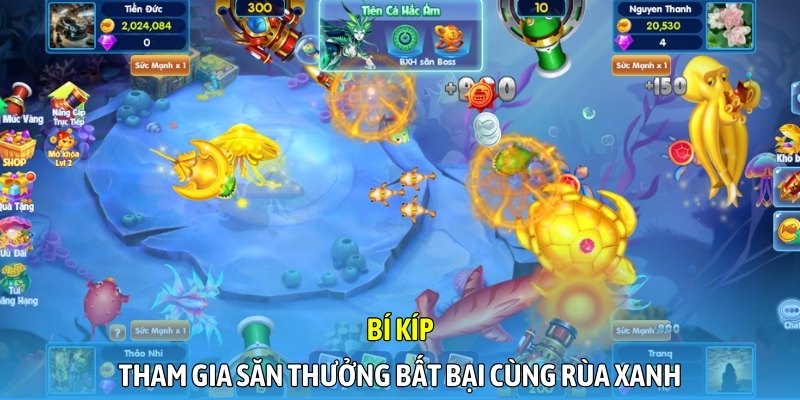 Bí kíp tham gia săn thưởng bất bại cùng rùa xanh