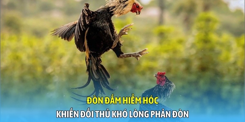 Đòn đấm hiểm hóc khiến đối thủ khó lòng phản đòn