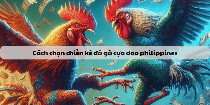 Cách chọn chiến kê khi tham gia đặt cược tại sảnh đá gà kubet