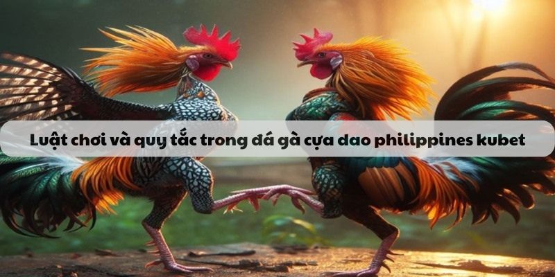 Luật chơi và quy tắc trong đá gà cựa dao philippines tại kubet
