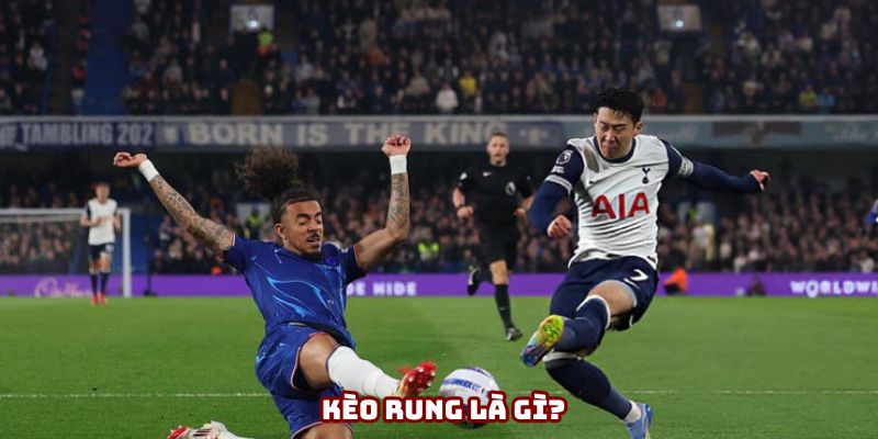 Kèo rung là gì? Câu trả lời là thắc mắc của nhiều người