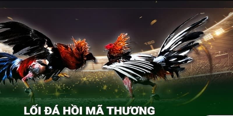 Khái quát đôi lời về tuyệt chiêu đá gà mã thương