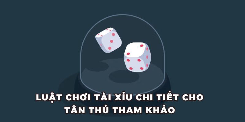 Luật chơi game cần nắm khi mới bắt đầu cá cược