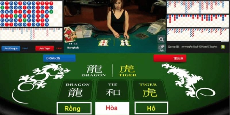 Tránh cửa Hòa khi cược Rồng Hổ online bởi tỷ lệ thắng không cao