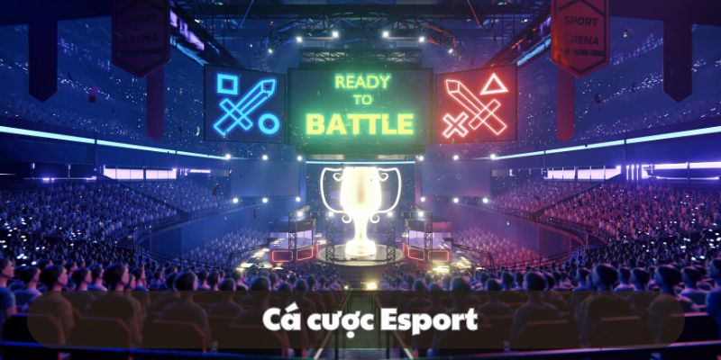 Thành viên được phép tham gia loại hình esport đặc sắc