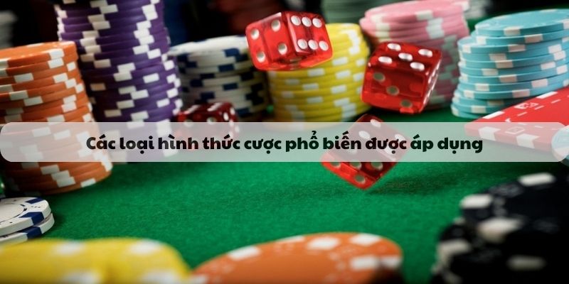 Các loại hình thức cược phổ biến được áp dụng