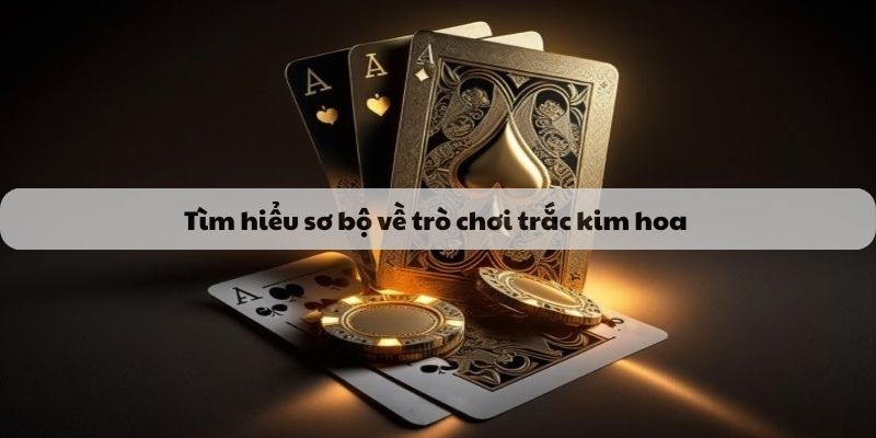 Tìm hiểu sơ bộ về trò chơi trắc kim hoa