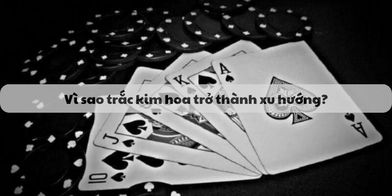 Vì sao trắc kim hoa trở thành xu hướng?