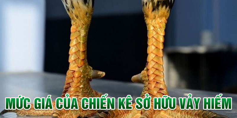 Mức giá của chiến kê sở hữu vảy hiếm