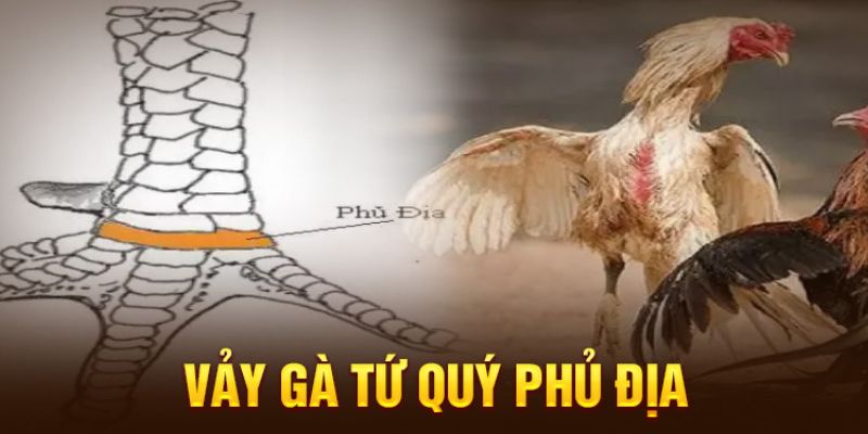 Giới thiệu tổng quan về vảy Tứ Quý Phủ Địa